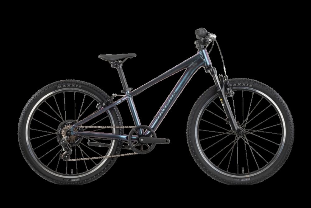 Raymon Nayta 24 Comp