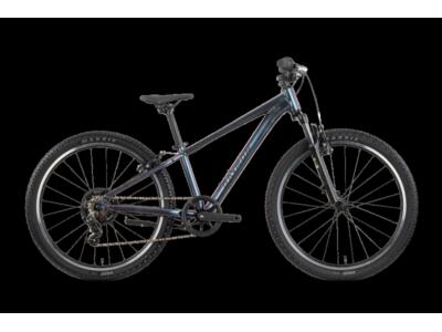 Raymon Nayta 24 Comp