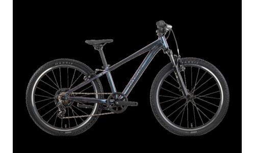 Raymon Nayta 24 Comp