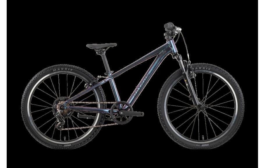 Raymon Nayta 24 Comp