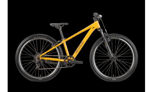 Raymon Nayta 26 Comp