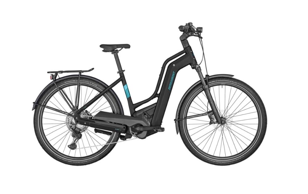 Bergamont E-Horizon Premium Expert Amsterdam RH 56 cm