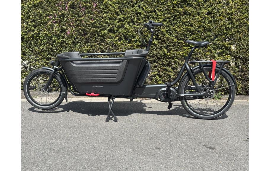 Batavus Fier 2 5 Gang