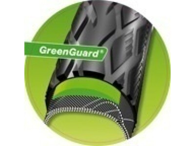 Schwalbe MARATHON 420