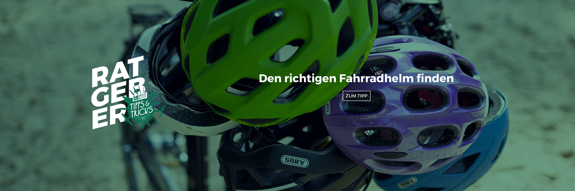 BIKE&CO Auto-Content Allgemein 1