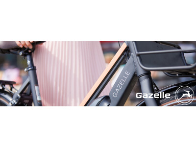 Gazelle Imagemotive 03