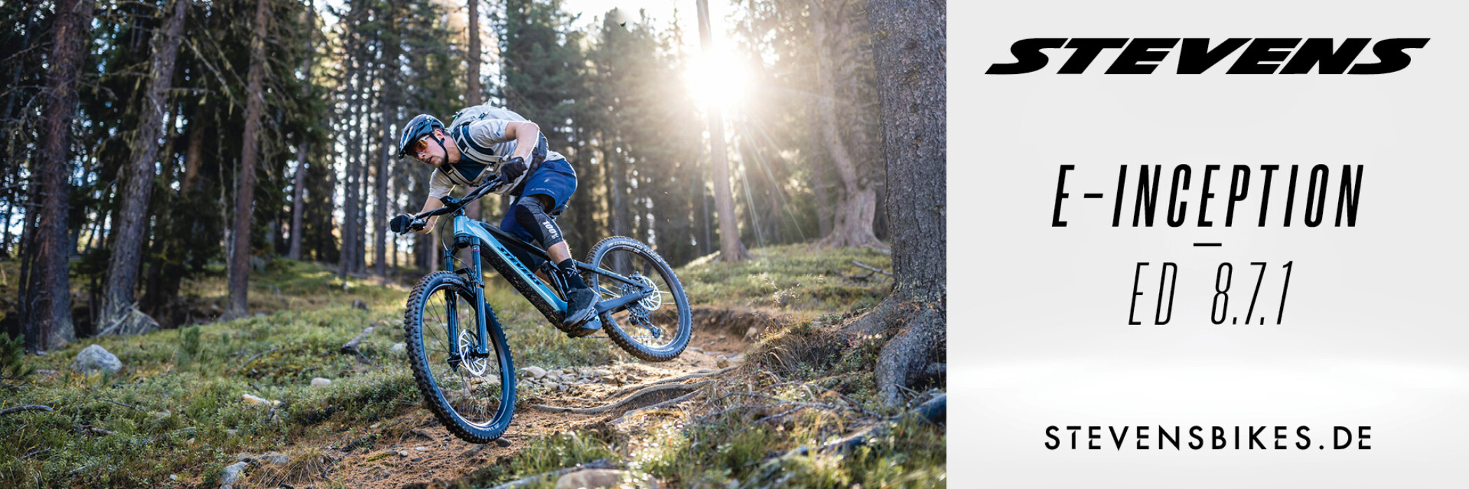 Stevens Imagemotiv 11