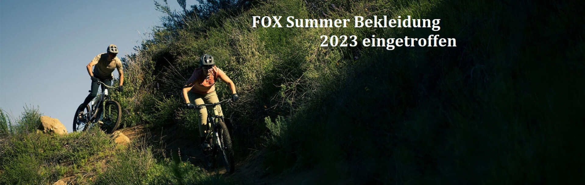 Fox Summer