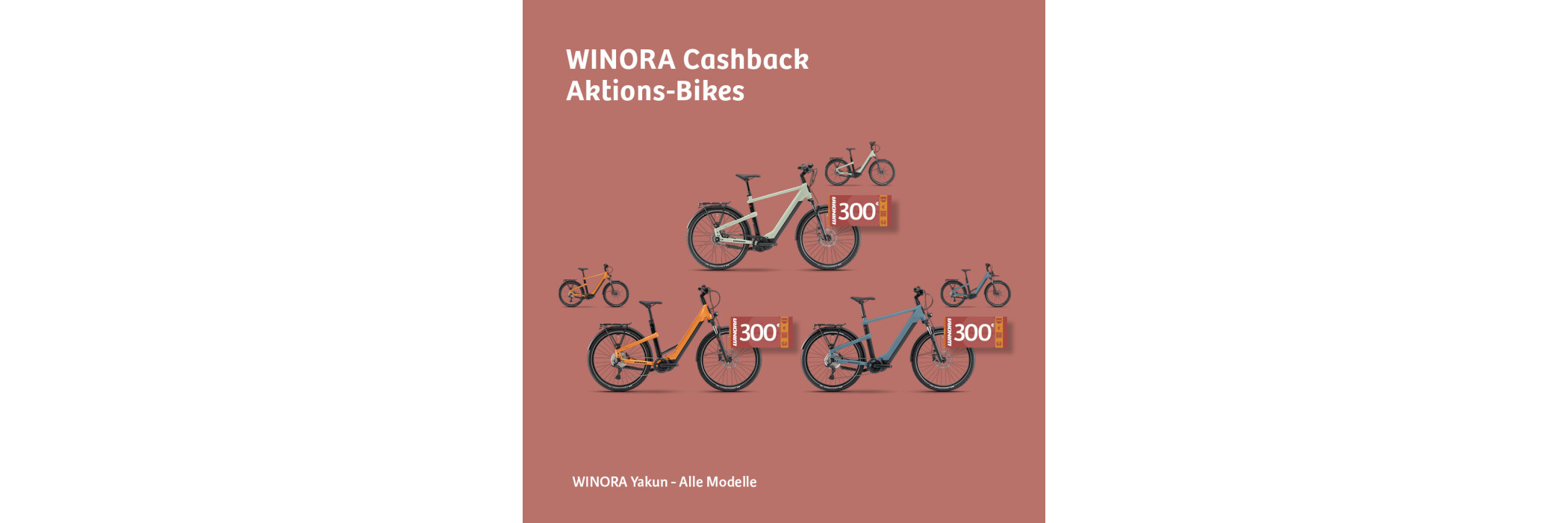Winora Cahsback 300€