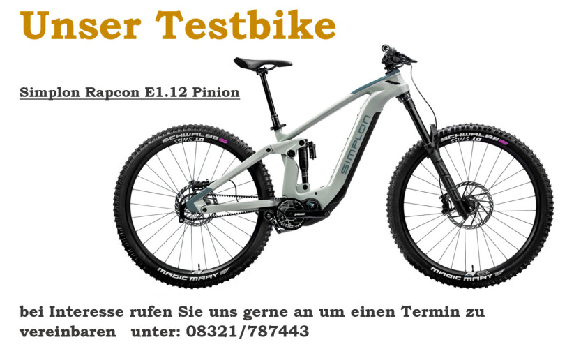 Testbike E1.12 Pinion