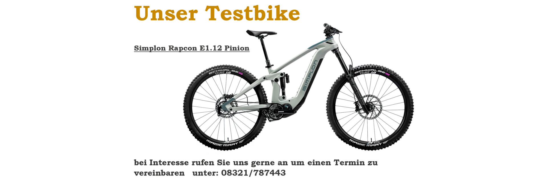 Testbike E1.12 Pinion