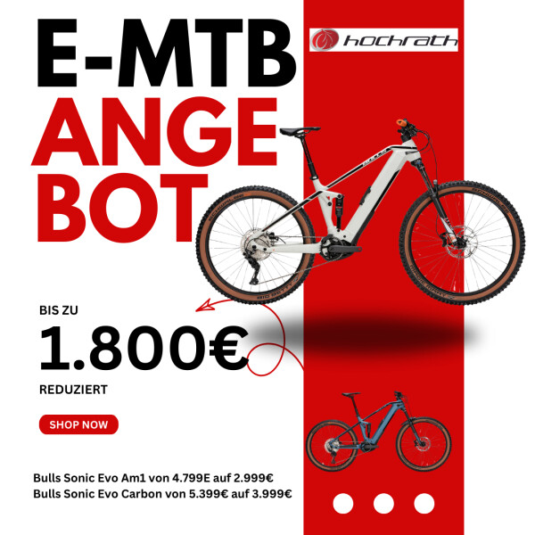 E-MTB Angebot