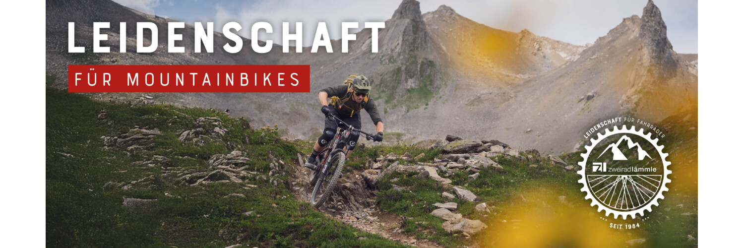 Leidenschaft für E Bikes
