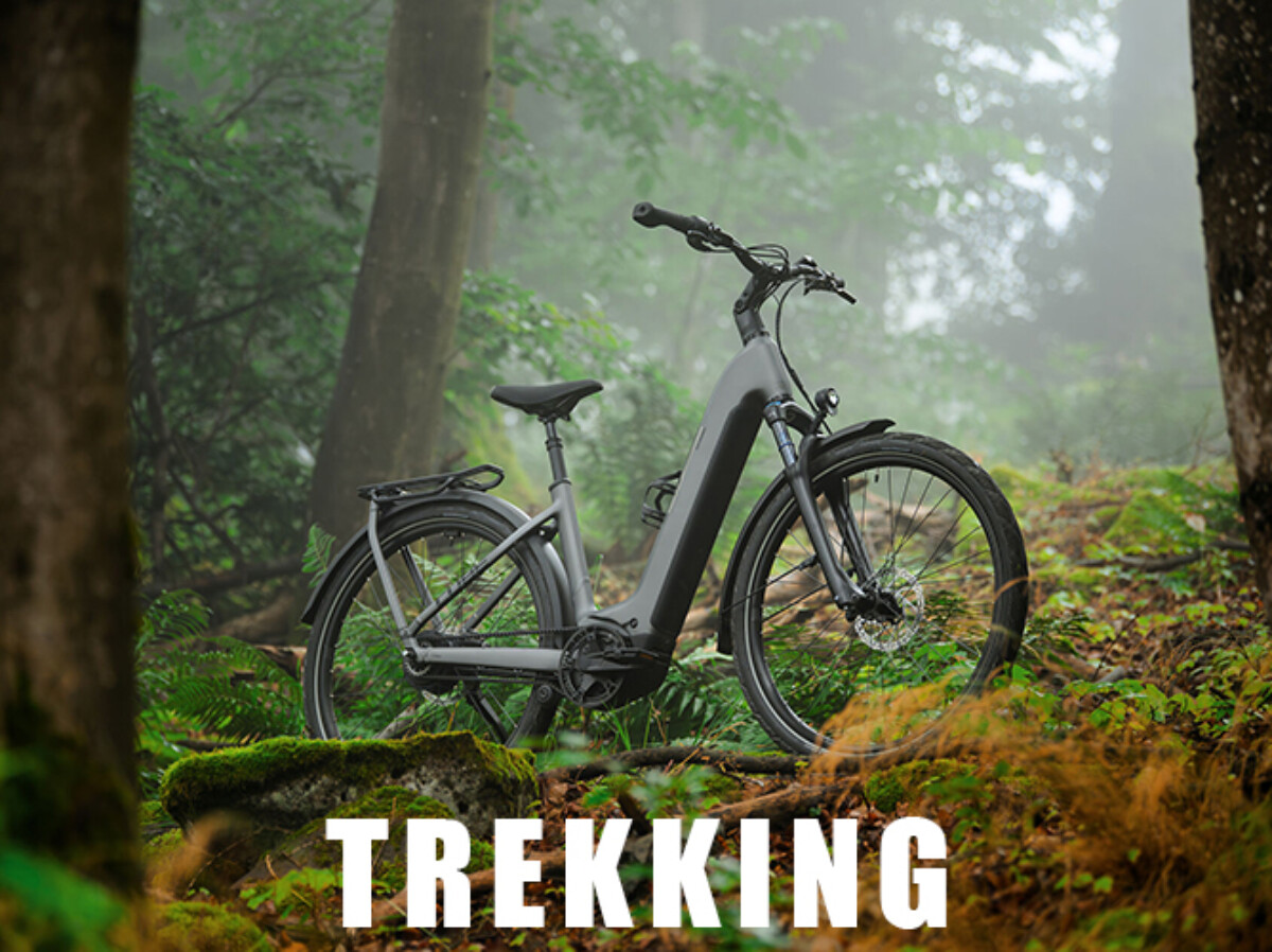 BannerTrekking