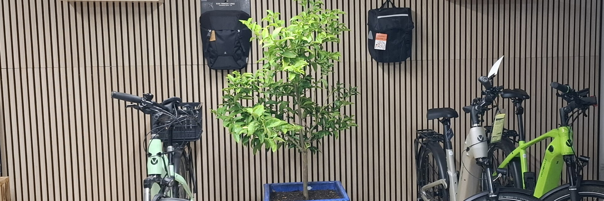 Der Bike Profi Fahrradladen