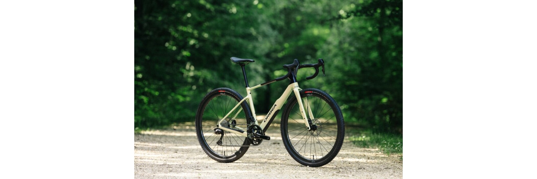 Orbea Terra