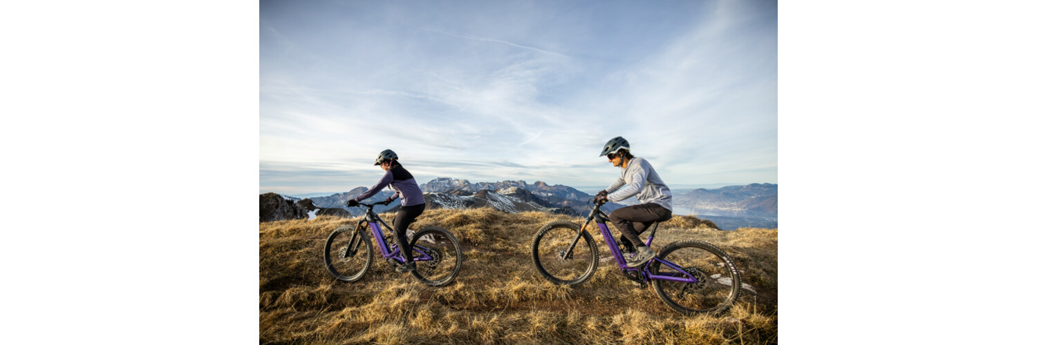 Die neuen SCREE Modelle