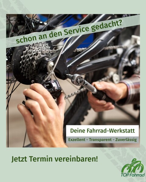Werkstatt Termin