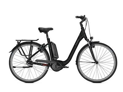 Raleigh Kingston R 8G