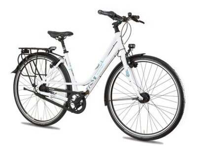 Gudereit SX-C (2019)