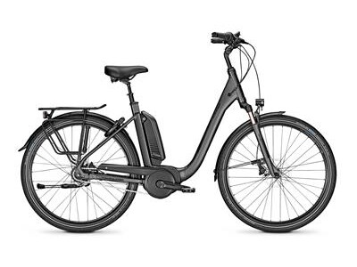 Raleigh Kingston R XXL