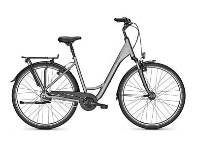 Raleigh Chester 8 grey