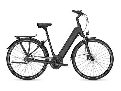 Raleigh BRISTOL 8R WA RH:48 Bosch ActivLinePlus 500W