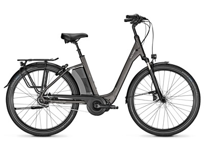 Raleigh CORBY 8 RT 60Nm 621WH Gry