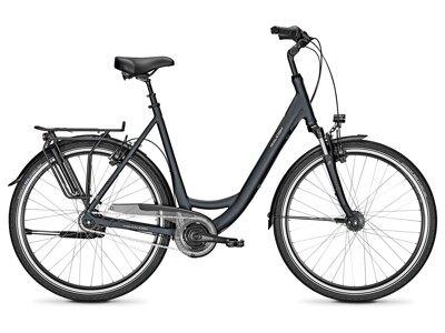 Raleigh Chester 8 XXL