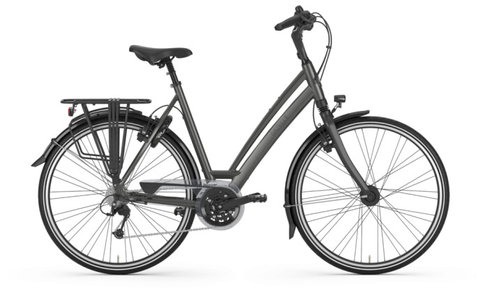 Trekkingbike Gazelle CHAMONIX titanium grey L 2020 bei