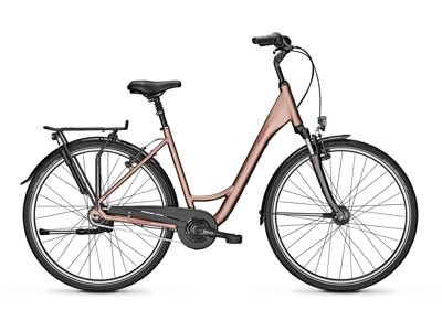 Raleigh CHESTER 8 - brown - Größe 50