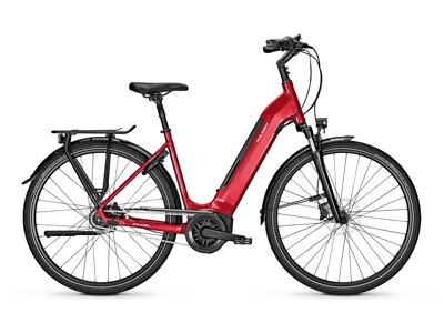 Raleigh Bristol 8  S45C 50Nm 500WH red