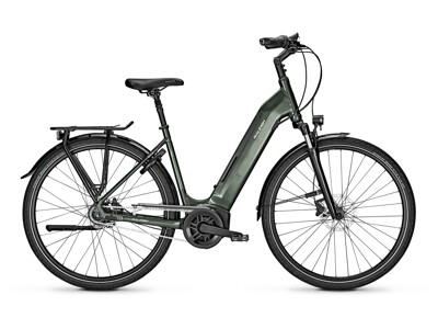 Raleigh Bristol 8-Gang RT 500Wh