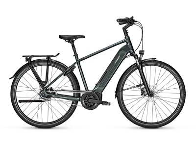 Raleigh Bristol 8-Gang RT 500Wh