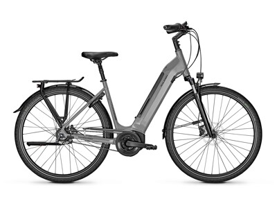 Raleigh Bristol Premium 8-Gang RT 500Wh
