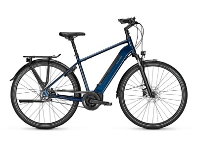 Raleigh Bristol Premium 8-Gang RT 500Wh