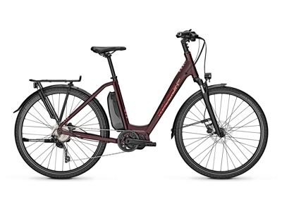 Raleigh Stone 10 60Nm 504 Wh