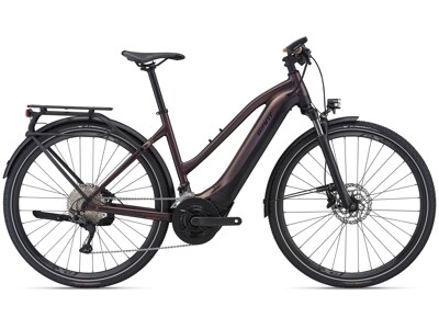 GIANT Explore E+1 Pro STA 11-Gang 625 Wh FL