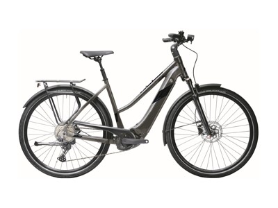 MORRISON E 10.0 Lady