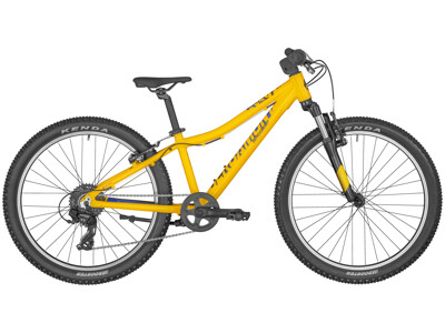 Bergamont Revox 24" Boy