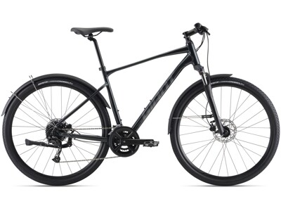 GIANT Roam EX