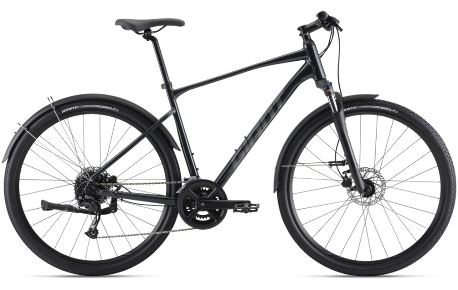 GIANT Roam EX