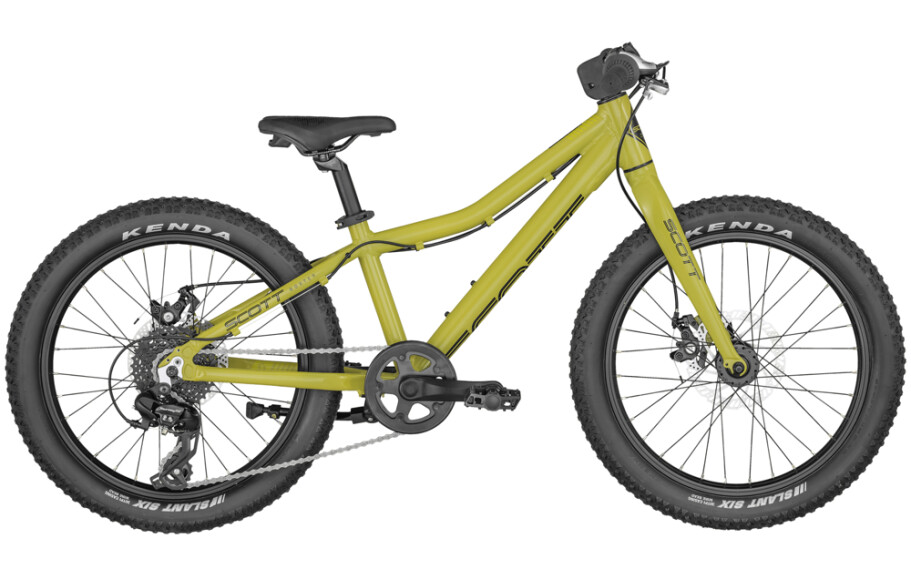 Scott Roxter 20 (20")