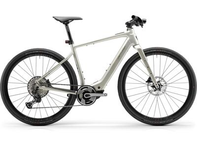 Centurion Speeddrive R2000 D EP1 vintage grau