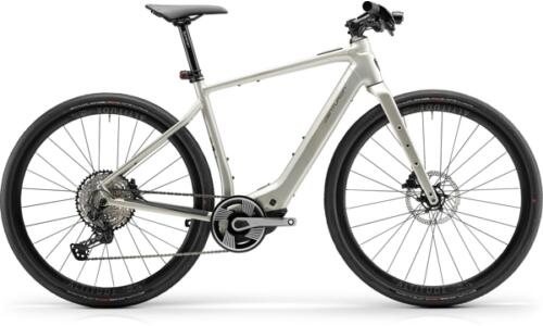 Centurion Speeddrive R2000 D EP1 vintage grau