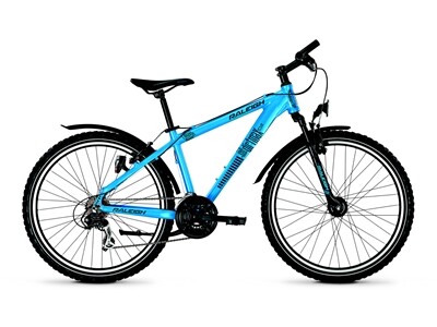 Raleigh Dirtmax 21