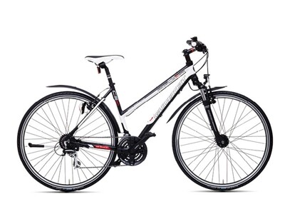 Gudereit CS-30 (2014)