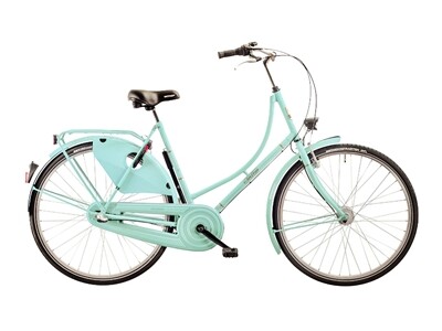 FALTER Holland 3.0 in 26"