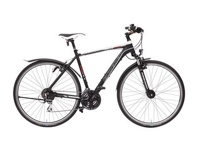 Gudereit CS-30 (2015)