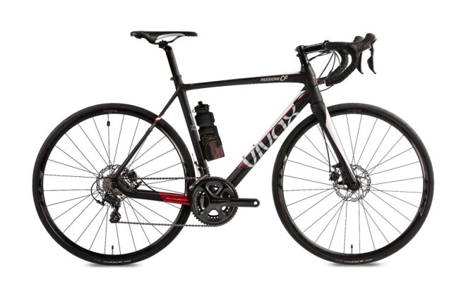 EBike vivax assist vivax Passione CF Disc 2017 bei
